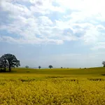 Haus Seeblick